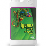 Iguana juice Bloom