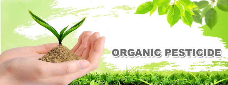 Homemade Pesticides - Organic Growshop