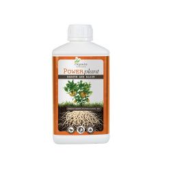Organics Nutrients Power Plant Grow + Bloom