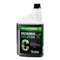 Trabe Bachumus Evolution C Grow