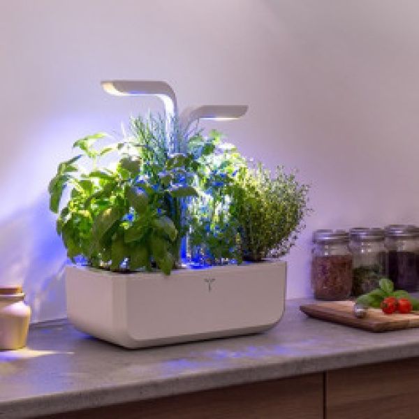 Λαχανόκηπος Κουζίνας LED CLASSIC GARDEN