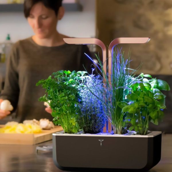 Λαχανόκηπος Κουζίνας LED - Smart Copper black 4 Θέσεων