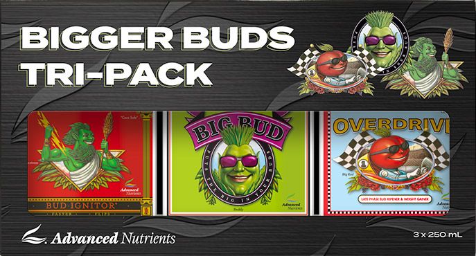 Bigger Buds Tri-pack