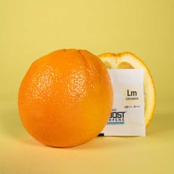 Integra Boost - Limonene 4gr 62%