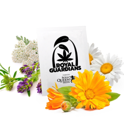Growth Pack - Royal Queen Seeds