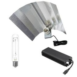 Kit Asterix Digital Dimmable 600W