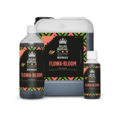 Flowa Bloom - JUJU Royal