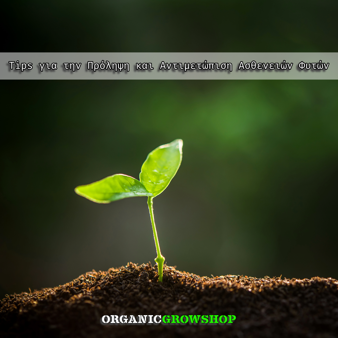 tips πρόληψης αντιμετώπισης ασθενειών φυτών organic growshop
